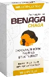 Benaga Chaga Memory