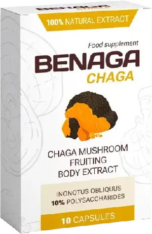 Benaga Chaga Memory