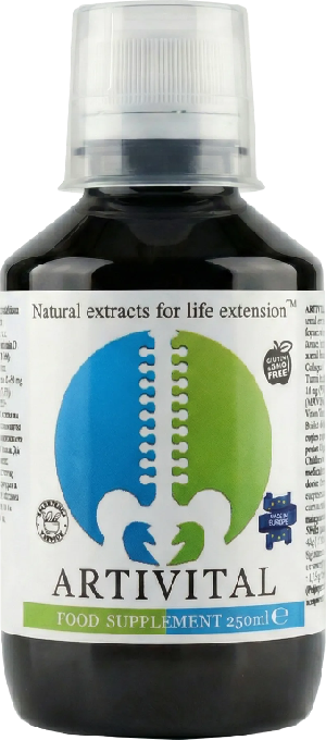 Artivital