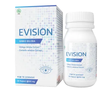 Evision #2