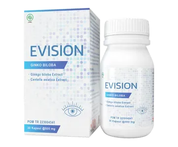 Evision #2