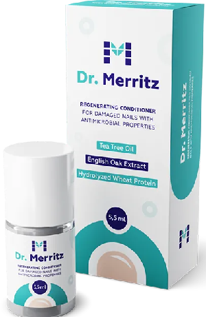 Dr. Merritz