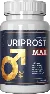 Uriprost Max
