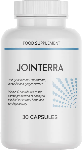 Jointerra