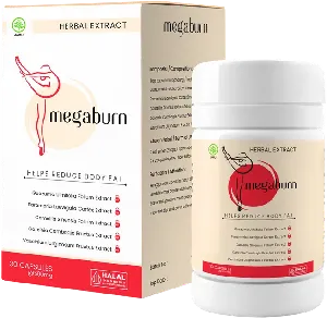 Megaburn