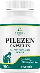 Pilezen