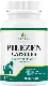 Pilezen