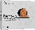 Renovix