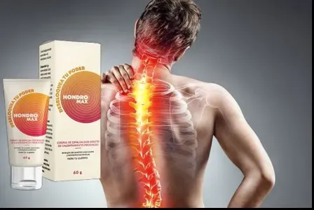 Hondromax #1