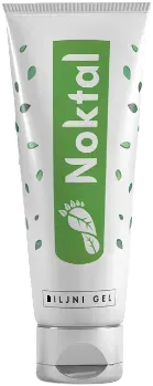 Noktal
