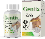 Gentix