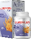 Cordyceps Pulse Prostatitis