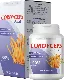 Cordyceps Pulse Hypertension