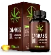 Cannabis Oil Weight loss