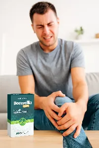 Boswellia Joints #1