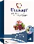 Glucocept