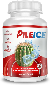 Pileice