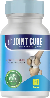 Joint cure
