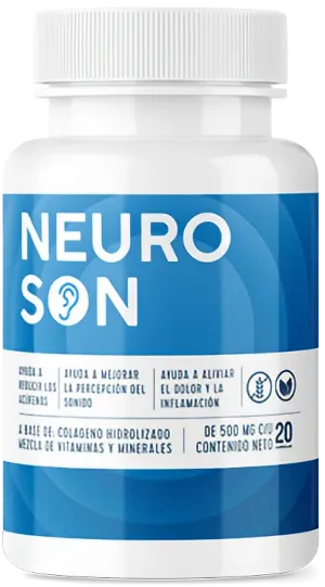 Neuroson