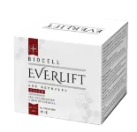 Everlift