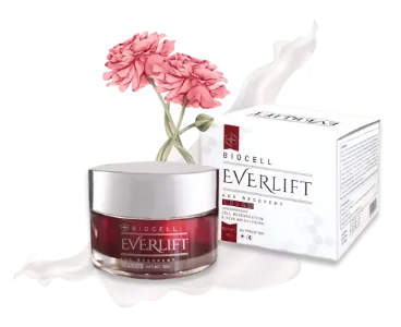 Everlift #1