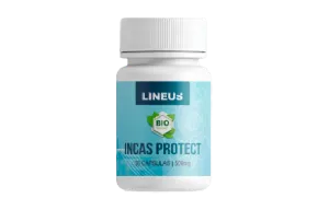 Incas Protect