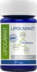 Lipocarnit