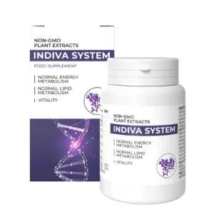 InDiva System