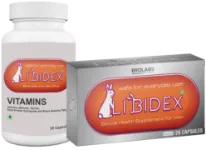 Libidex