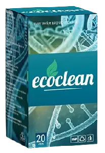 EcoClean #1